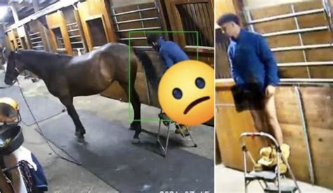 man fucks horse anal|Horse Anal fuck man .